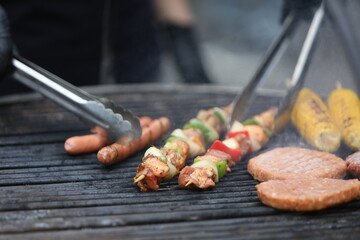 grilled meat on the grill