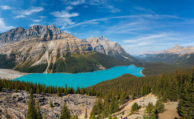 Peyto Lake panorama view in summer. Banff National Park, Canadian Rockies, Alberta, Canada.