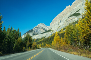 Driving on Icefields Parkway in autumn. Alberta Highway 93. Jasper National Park, Canada.