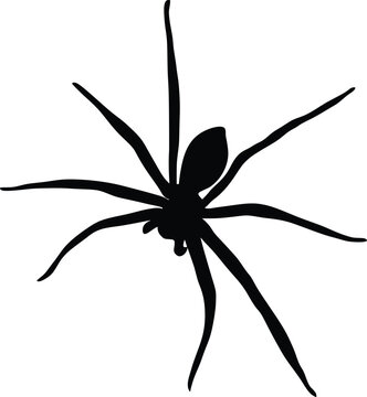 recommend clip art: This Spider silhouette victor