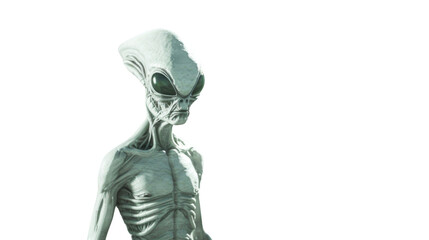 Obraz premium The aliens are coming , on white background