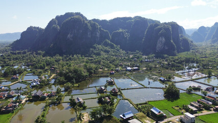 Rural atmosphere with vast rice fields and karst mountains in the tourist village of Rammang-rammang