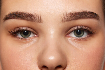 Cropped close-up image of female face, eyes, brows, nose. Well-kept smooth skin, perfect brows....