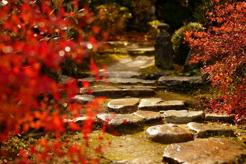 京都の紅葉、秋色の日本風景