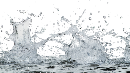 Splash of water, on white background