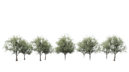 A row of green trees, nature concept, on white background