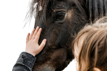 A child gently reaches out to touch a horse's face, forming a connection with the animal. A moment of tenderness and curiosity.