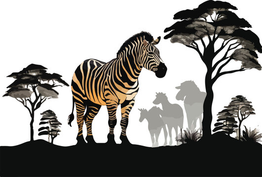 A zibra silhouette with white background