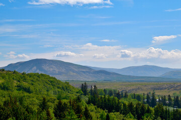 Magical landscapes of Iceland. Lush evergreens reach towards snow-capped peaks, bathed in warm sunlight
