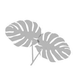 silhouette of a spider png