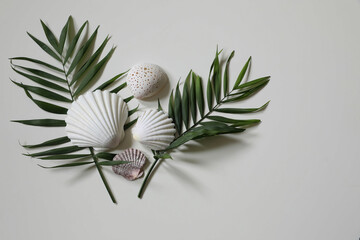 Composition of exotic seashells, oysters. Lush green palm leaves isolated on white wooden table background. Tropical summer vacation, nature concept. Flat lay, top view. Empty copy space. - Powered by Adobe