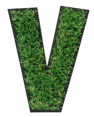 Letter V made of green grass isolated on white.