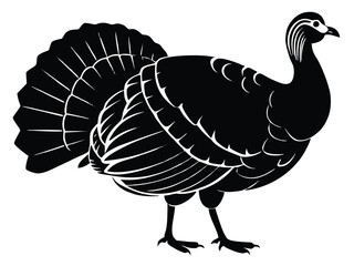 a turkey white background black B.eps