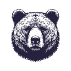 bear vector, bear silhouette