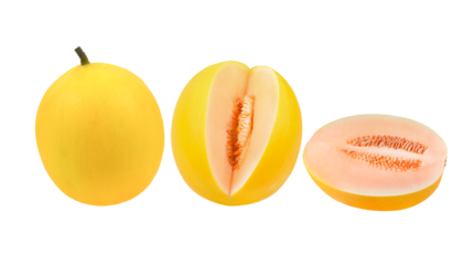Ripe fresh honeydew melon. Whole melon and slices. Realistic vector illustration. Isolated transparent png