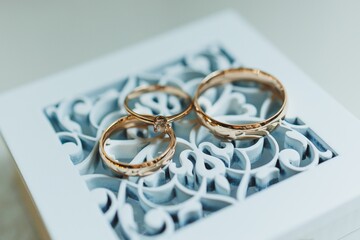 Gold wedding rings for newlyweds. Precious wedding rings for a couple.