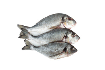 Three spent and cleaned dorada fish on white background.
