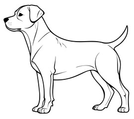 Dog outline for coloring page. Coloring book for print. Vector illustration isolated on white background. Perfect for children’s creativity and adult relaxation