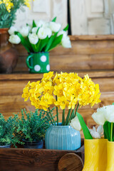A bouquet of yellow tulips in a shoe vase, a spring bright photo zone in a photo studio.