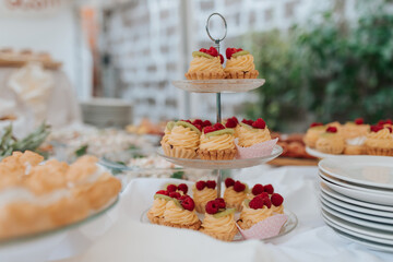 An assortment of beautifully arranged desserts, featuring vibrant fruits and delicate garnishes, perfect for a wedding celebration