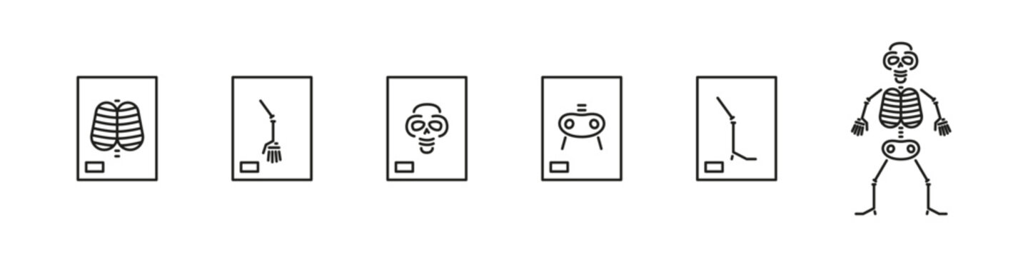Xray bones icon set. Human sceleton medical icons.