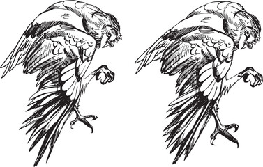 Black and white monochrome graphics hand drawn ink tattoo engraving style set vector owl and moth different poses angles. Flying sitting bird linear minimalistic simple sketch for design clip art