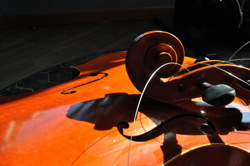 Busted Cello © Desiree'