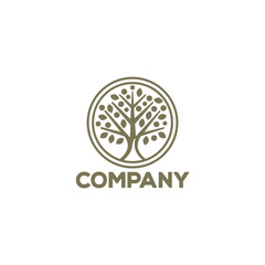 Logo design of a monoline tree.