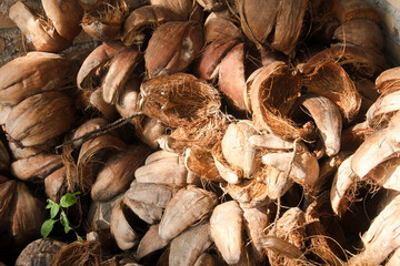 Dried coconut fiber which can be used as raw material for crafts or coco peat for soil fertility