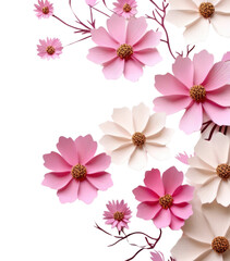 Naklejka premium PNG Cosmos flower backgrounds blossom