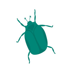 cute green beetle on transparent background