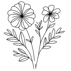 This is an illustration of flowers in a simple and modern line art style.