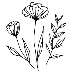 This is an illustration of flowers in a simple and modern line art style.