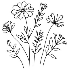 This is an illustration of flowers in a simple and modern line art style.