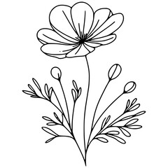 This is an illustration of flowers in a simple and modern line art style.