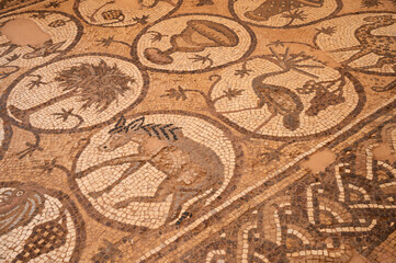Petra, mosaicos con motivos animales en la iglesia bizantina, Jordania.