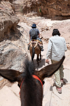 Petra, mulas subiendo turistas al Monasterio, Jordania.