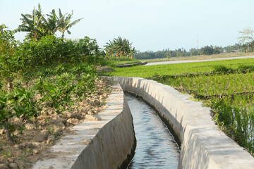 Irrigation Canals that irrigate rice fields in rural areas