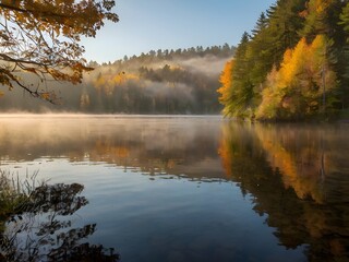 Fototapeta premium autumn in the park