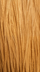 Dry Wheat Straw Rice Grass, Background Texture Abstract Image Pattern, For Wallpaper, Background, Cover and Cell Phone Screen, Smartphone, Computer, Laptop, Format 9:16 and 16:9 - PNG