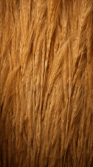 Fototapeta premium Dry Wheat Straw Rice Grass, Background Texture Abstract Image Pattern, For Wallpaper, Background, Cover and Cell Phone Screen, Smartphone, Computer, Laptop, Format 9:16 and 16:9 - PNG