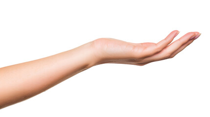 Fototapeta premium hands,cutout on transparent backgrounds.