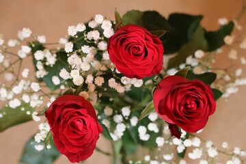 Rose rouge