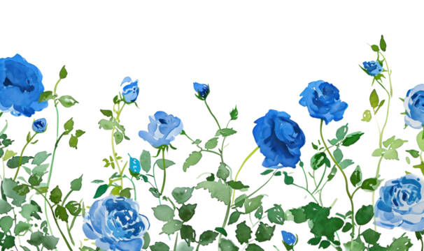 PNG Blooming blueroses garden pattern flower nature