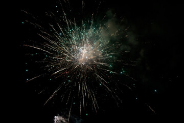 Obraz premium Fireworks blooming in the night sky