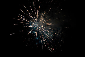 Fototapeta premium Fireworks blooming in the night sky