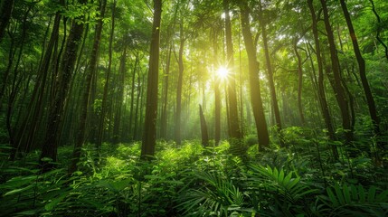 Obraz premium Lush forest with towering trees and vibrant greenery, showcasing the importance of forest conservation and reforestation efforts.