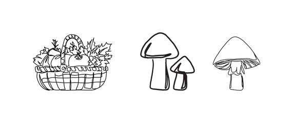 Harvest basket and mushroom continuous one line drawing, single line art element, minimalist sketch line vector illustration, autum and thanksgiving concept