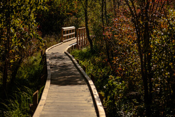 A boardwalk over a wet area and the stream inlet to Ennis Lake (Fountain Lake), along the National Scenic Ice Age Trail, John Muir Memorial Park near Montello, Wisconsin in autumn