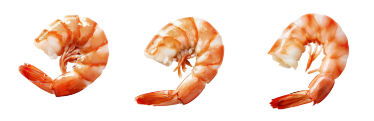 set of Shrimp on isolated background, shrimp perfection: unlocking seafood's best kept secret